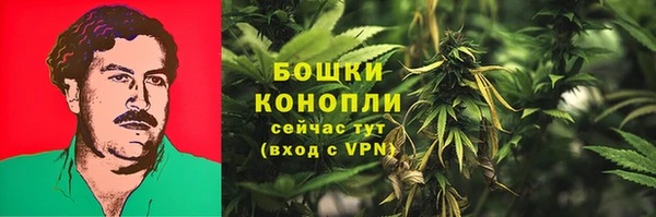 spice Лиски