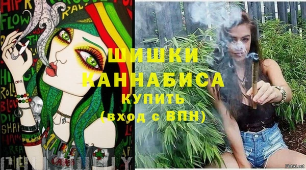 spice Лиски