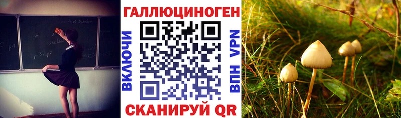 Галлюциногенные грибы Psilocybe  закладка  кракен ссылки  Сосновый Бор 