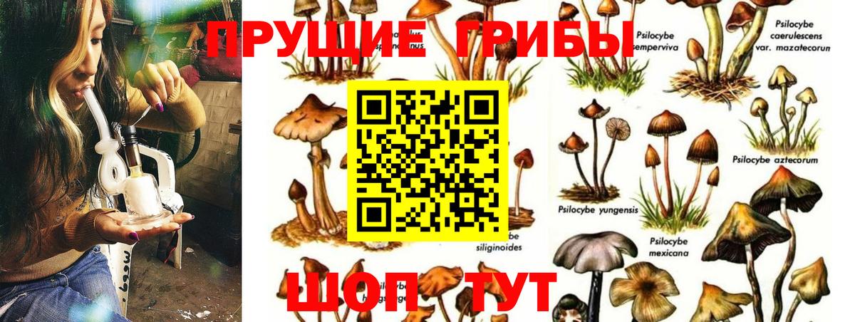 Гашиш  ГАШИШ  Мефедрон   Сосновый Бор  Меф МЯУ МЯУ  Вход с VPN  LSD-25  Конопля  Кокаин 