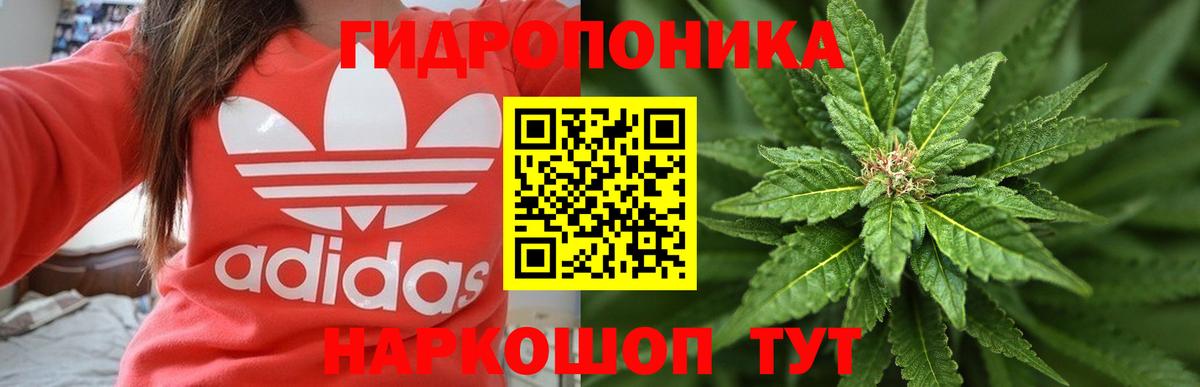 Канабис семена  Вход с VPN  Конопля Ganja  Сосновый Бор 